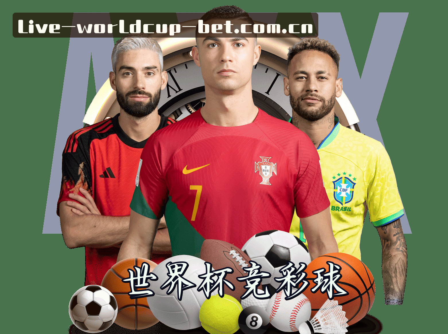 关于我们简介